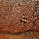 Illustration for article titled Revisiting the Small Village That Was Completely Devastated By Toxic Red Sludge